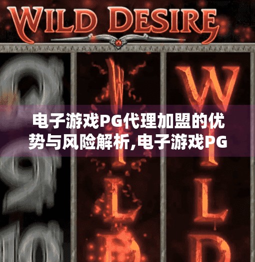 电子游戏PG代理加盟的优势与风险解析,电子游戏PG代理加盟，风口上的机遇与暗流中的风险全解析